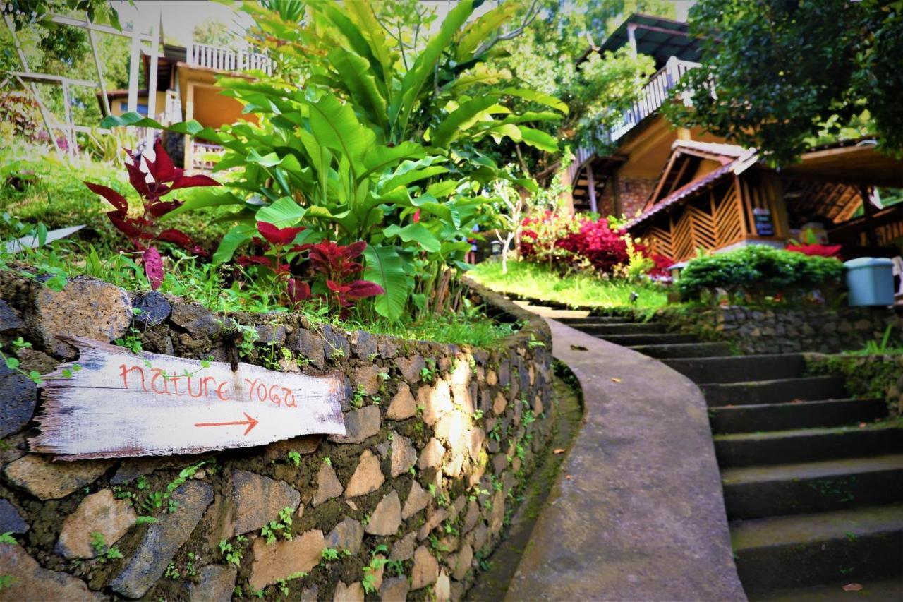 Swar Bali Lodge Munduk Zewnętrze zdjęcie